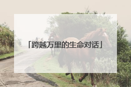 跨越万里的生命对话