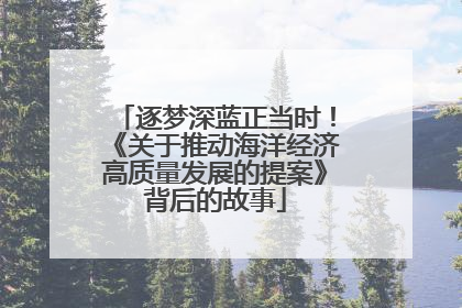 逐梦深蓝正当时！《关于推动海洋经济高质量发展的提案》背后的故事