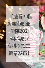 速看！临沂城市职业学院2025年高职（专科）招生简章发布