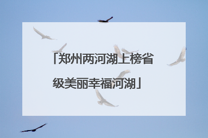 郑州两河湖上榜省级美丽幸福河湖