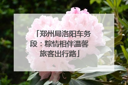 郑州局洛阳车务段：粽情相伴温馨旅客出行路