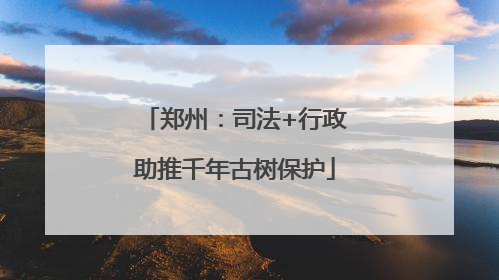郑州：司法+行政助推千年古树保护