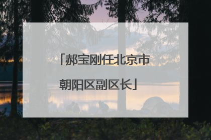 郝宝刚任北京市朝阳区副区长