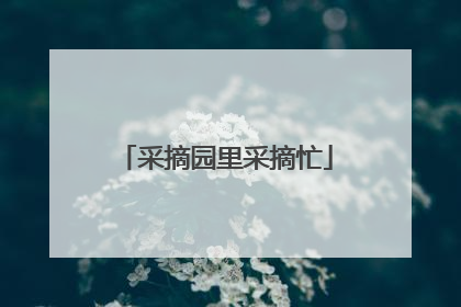 采摘园里采摘忙