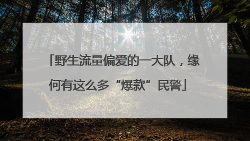 野生流量偏爱的一大队，缘何有这么多“爆款”民警