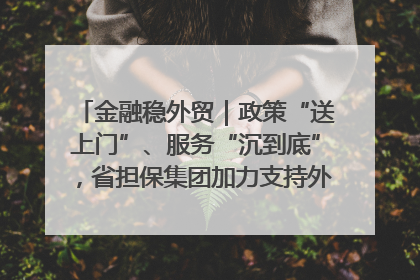 金融稳外贸｜政策“送上门”、服务“沉到底”，省担保集团加力支持外经贸高质量发展