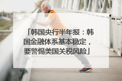韩国央行半年报：韩国金融体系基本稳定，要警惕美国关税风险