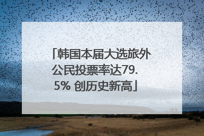 韩国本届大选旅外公民投票率达79.5% 创历史新高