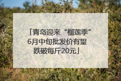 青岛迎来“榴莲季” 6月中旬批发价有望跌破每斤20元