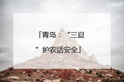 青岛：“三夏”护农话安全