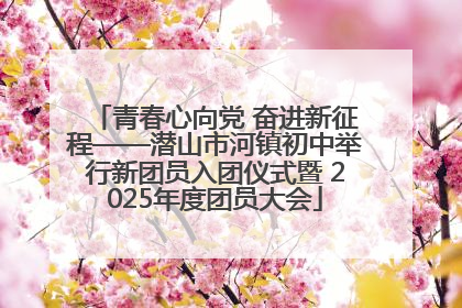 青春心向党 奋进新征程——潜山市河镇初中举行新团员入团仪式暨 2025年度团员大会