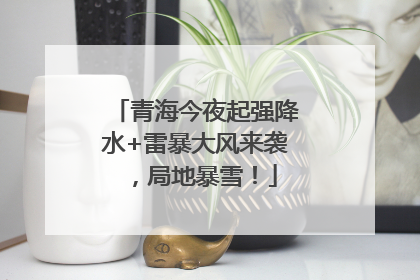 青海今夜起强降水+雷暴大风来袭，局地暴雪！