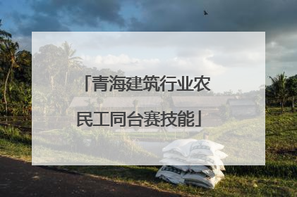 青海建筑行业农民工同台赛技能