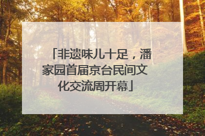 非遗味儿十足，潘家园首届京台民间文化交流周开幕