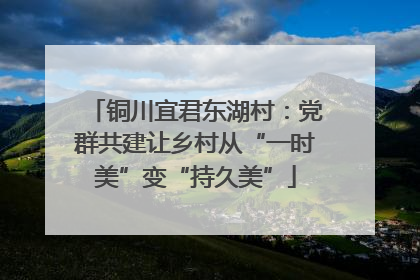 铜川宜君东湖村：党群共建让乡村从“一时美”变“持久美”