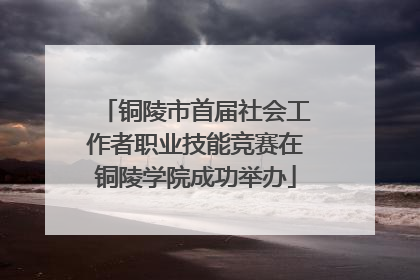 铜陵市首届社会工作者职业技能竞赛在铜陵学院成功举办