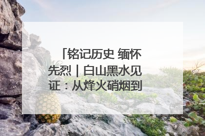 铭记历史 缅怀先烈｜白山黑水见证：从烽火硝烟到振兴热土的巨变