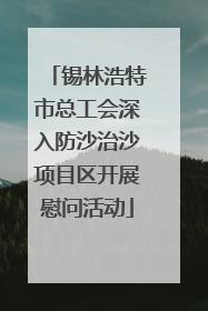 锡林浩特市总工会深入防沙治沙项目区开展慰问活动