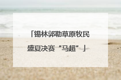 锡林郭勒草原牧民盛夏决赛“马超”