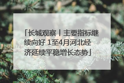 长城观察丨主要指标继续向好 1至4月河北经济延续平稳增长态势