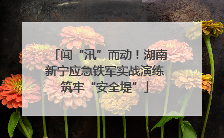 闻“汛”而动！湖南新宁应急铁军实战演练筑牢“安全堤”