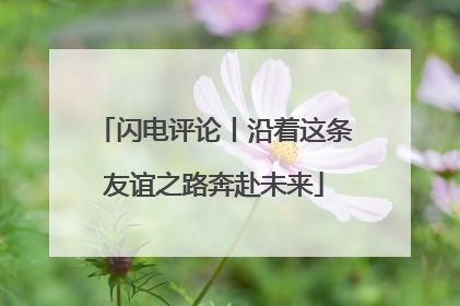 闪电评论丨沿着这条友谊之路奔赴未来