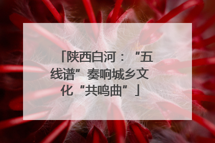 陕西白河：“五线谱”奏响城乡文化“共鸣曲”