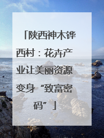 陕西神木铧西村：花卉产业让美丽资源变身“致富密码”