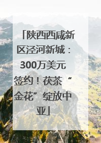陕西西咸新区泾河新城：300万美元签约！茯茶“金花”绽放中亚