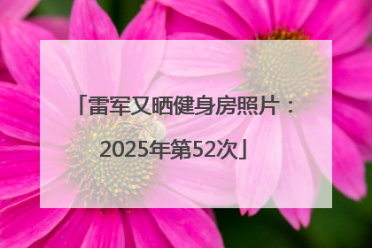 雷军又晒健身房照片：2025年第52次