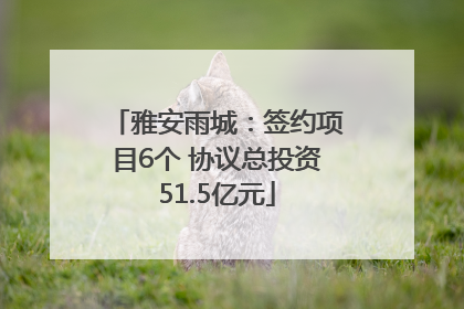 雅安雨城：签约项目6个 协议总投资51.5亿元