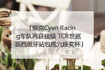 领克Cyan Racing车队再获佳绩 TCR世巡赛西班牙站包揽六座奖杯