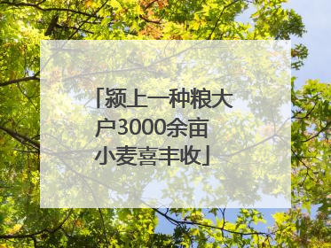 颍上一种粮大户3000余亩小麦喜丰收