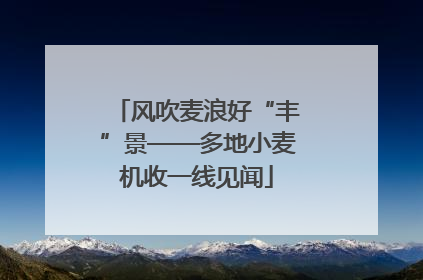 风吹麦浪好“丰”景——多地小麦机收一线见闻