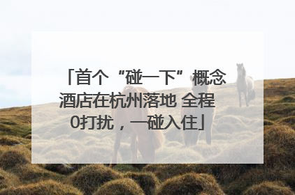 首个“碰一下”概念酒店在杭州落地 全程0打扰，一碰入住