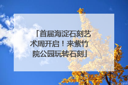 首届海淀石刻艺术周开启！来紫竹院公园玩转石刻