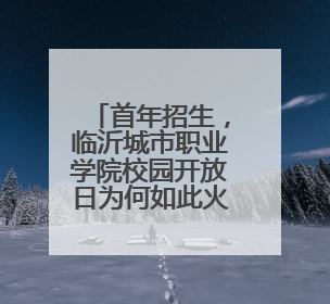 首年招生，临沂城市职业学院校园开放日为何如此火爆
