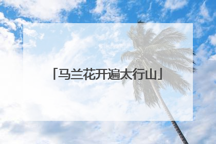 马兰花开遍太行山