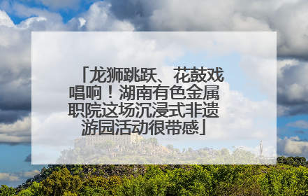 龙狮跳跃、花鼓戏唱响！湖南有色金属职院这场沉浸式非遗游园活动很带感