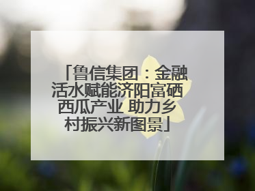 鲁信集团：金融活水赋能济阳富硒西瓜产业 助力乡村振兴新图景
