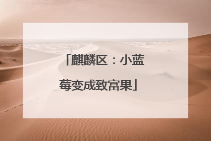 麒麟区：小蓝莓变成致富果