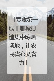 麦收第一线丨聊城打造集中晾晒场地，让农民省心又省力