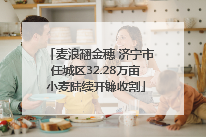 麦浪翻金穗 济宁市任城区32.28万亩小麦陆续开镰收割
