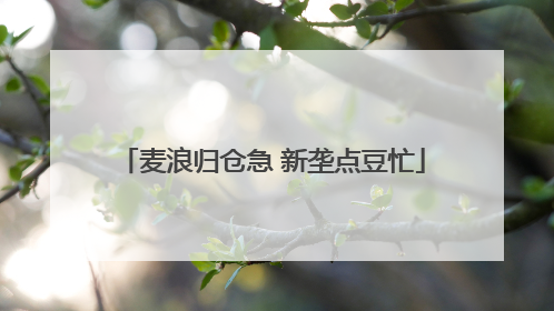 麦浪归仓急 新垄点豆忙