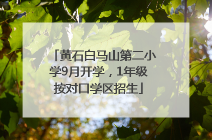 黄石白马山第二小学9月开学，1年级按对口学区招生