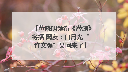 黄晓明领衔《潜渊》将播 网友：白月光“许文强”又回来了