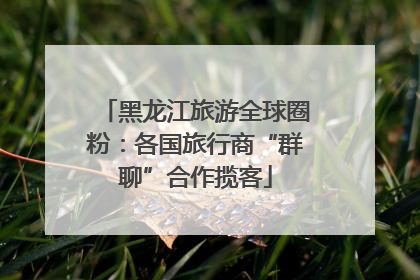 黑龙江旅游全球圈粉：各国旅行商“群聊”合作揽客