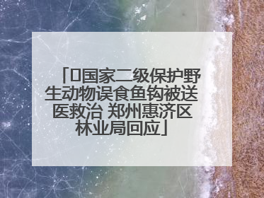 ﻿国家二级保护野生动物误食鱼钩被送医救治 郑州惠济区林业局回应