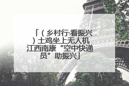 （乡村行·看振兴）土鸡坐上无人机 江西南康“空中快递员”助振兴
