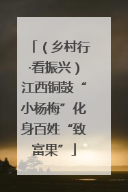 （乡村行·看振兴）江西铜鼓“小杨梅”化身百姓“致富果”
